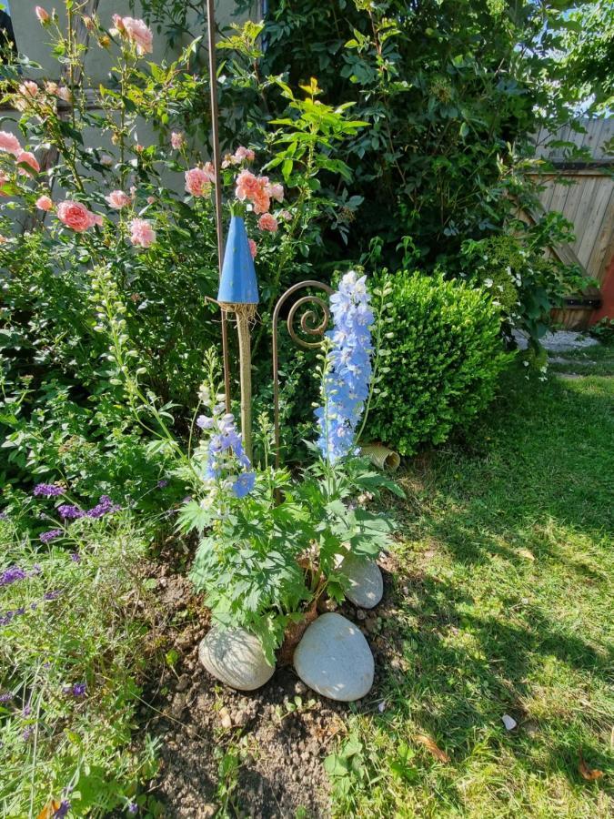 Ankommen, Wohlfuehlen Und Die Natur Geniessen Lichtenhain  Kültér fotó
