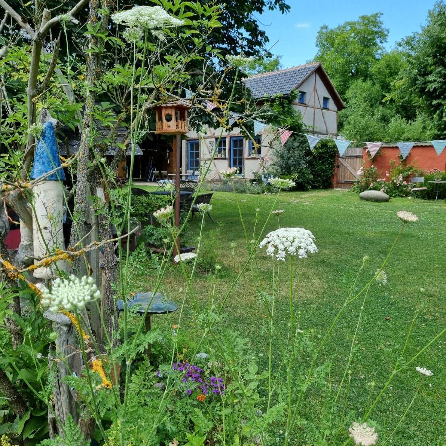 Ankommen, Wohlfuehlen Und Die Natur Geniessen Lichtenhain  Kültér fotó